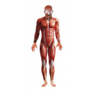 Costume carnevale uomo Halloween Anatomia Umana Uomo Senza Pelle *17022